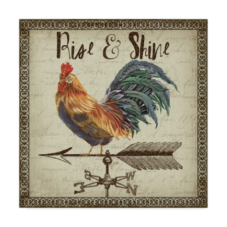 Jean Plout 'Rustic Rooster Vane 4' Canvas Art,14x14